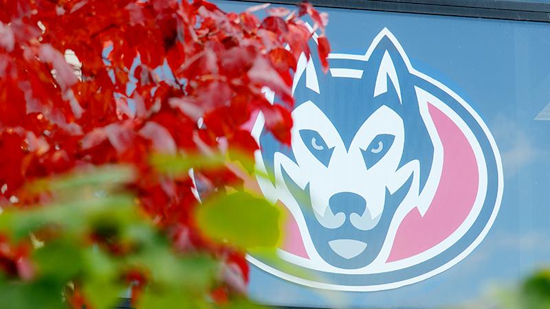 Husky decal on building with fall leaves